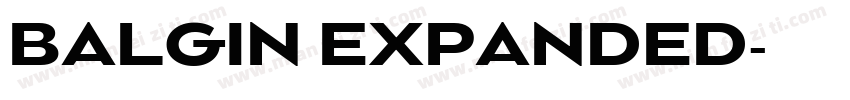 BALGIN EXPANDED字体转换
